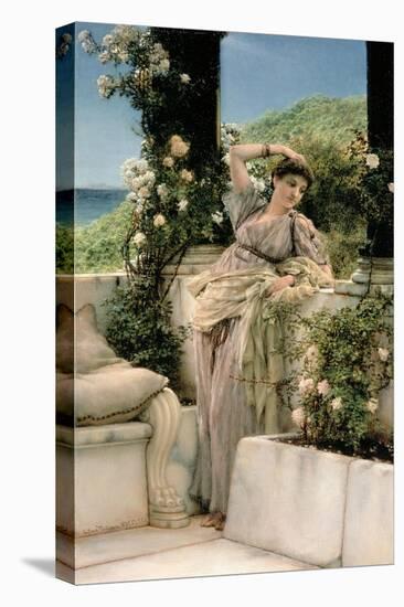 Rose of All Roses-Sir Lawrence Alma-Tadema-Stretched Canvas