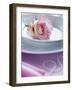 Rose on a Plate as Table Decoration-Alena Hrbkova-Framed Photographic Print