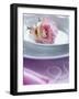 Rose on a Plate as Table Decoration-Alena Hrbkova-Framed Photographic Print