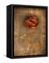 Rose on Fabric-Robert Cattan-Framed Stretched Canvas