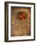 Rose on Fabric-Robert Cattan-Framed Photographic Print