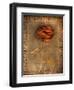 Rose on Fabric-Robert Cattan-Framed Photographic Print