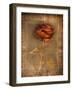 Rose on Fabric-Robert Cattan-Framed Photographic Print