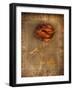 Rose on Fabric-Robert Cattan-Framed Photographic Print