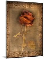 Rose on Fabric-Robert Cattan-Mounted Photographic Print