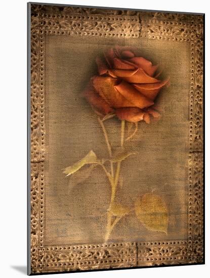 Rose on Fabric-Robert Cattan-Mounted Photographic Print