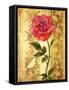 Rose on Golden Background-Maria Rytova-Framed Stretched Canvas