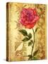 Rose on Golden Background-Maria Rytova-Stretched Canvas