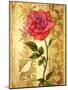 Rose on Golden Background-Maria Rytova-Mounted Giclee Print