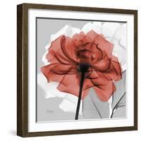 Rose on Gray 1-Albert Koetsier-Framed Premium Giclee Print