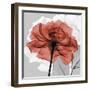 Rose on Gray 1-Albert Koetsier-Framed Premium Giclee Print