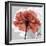 Rose on Gray 1-Albert Koetsier-Framed Premium Giclee Print