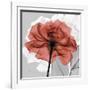 Rose on Gray 1-Albert Koetsier-Framed Art Print