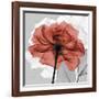 Rose on Gray 1-Albert Koetsier-Framed Art Print