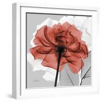 Rose on Gray 1-Albert Koetsier-Framed Art Print