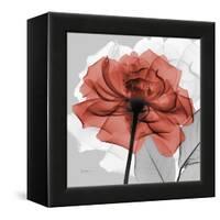 Rose on Gray 1-Albert Koetsier-Framed Stretched Canvas