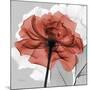 Rose on Gray 1-Albert Koetsier-Mounted Premium Giclee Print