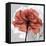 Rose on Gray 1-Albert Koetsier-Framed Stretched Canvas