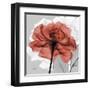 Rose on Gray 1-Albert Koetsier-Framed Art Print