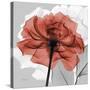 Rose on Gray 1-Albert Koetsier-Stretched Canvas