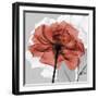 Rose on Gray 1-Albert Koetsier-Framed Art Print