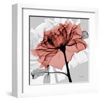 Rose on Gray 2-Albert Koetsier-Framed Art Print