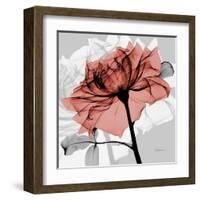 Rose on Gray 2-Albert Koetsier-Framed Art Print