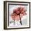 Rose on Gray 2-Albert Koetsier-Framed Art Print