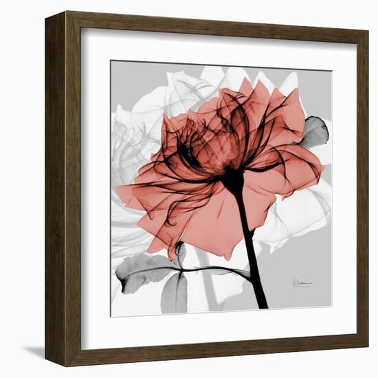 Rose on Gray 2-Albert Koetsier-Framed Art Print