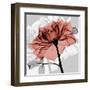 Rose on Gray 2-Albert Koetsier-Framed Art Print