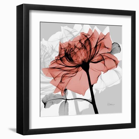 Rose on Gray 2-Albert Koetsier-Framed Art Print