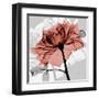 Rose on Gray 2-Albert Koetsier-Framed Art Print