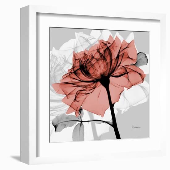 Rose on Gray 2-Albert Koetsier-Framed Art Print