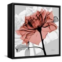 Rose on Gray 2-Albert Koetsier-Framed Stretched Canvas