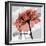 Rose on Gray 2-Albert Koetsier-Framed Art Print