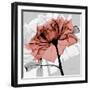 Rose on Gray 2-Albert Koetsier-Framed Art Print