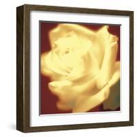 Rose on Red-Jane Ann Butler-Framed Giclee Print