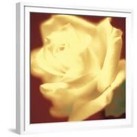 Rose on Red-Jane Ann Butler-Framed Giclee Print