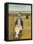 Rose on Rhyl Beach, 2007-Margaret Hartnett-Framed Stretched Canvas