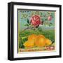 Rose Orange Label - Redlands, CA-Lantern Press-Framed Art Print