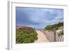 Rose Path-Katherine Gendreau-Framed Photographic Print