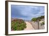 Rose Path-Katherine Gendreau-Framed Photographic Print