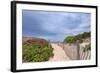 Rose Path-Katherine Gendreau-Framed Photographic Print