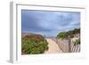 Rose Path-Katherine Gendreau-Framed Photographic Print