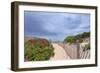 Rose Path-Katherine Gendreau-Framed Premium Photographic Print