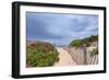 Rose Path-Katherine Gendreau-Framed Premium Photographic Print