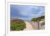 Rose Path-Katherine Gendreau-Framed Photographic Print