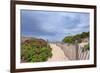 Rose Path-Katherine Gendreau-Framed Photographic Print