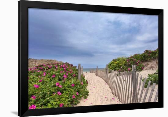 Rose Path-Katherine Gendreau-Framed Photographic Print