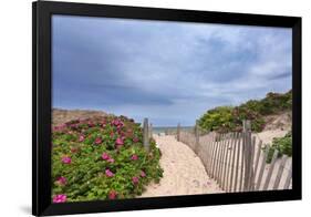 Rose Path-Katherine Gendreau-Framed Photographic Print